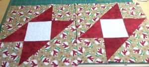 Added to a dozen more for a raffle quilt this Christmas