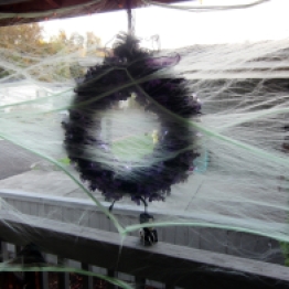 This spider webbing kept the wreath from blowing away and trapped lots of bug too. Ick!
