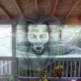 What you see going in or out the screen door.